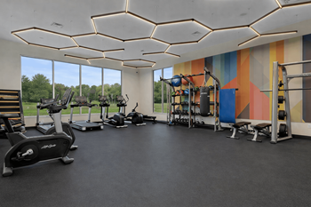 Fitness center with strength equipment